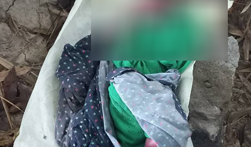 नवजात शिशु झाडीमा फाल्ने महिला प्रहरीको नियन्त्रणमा